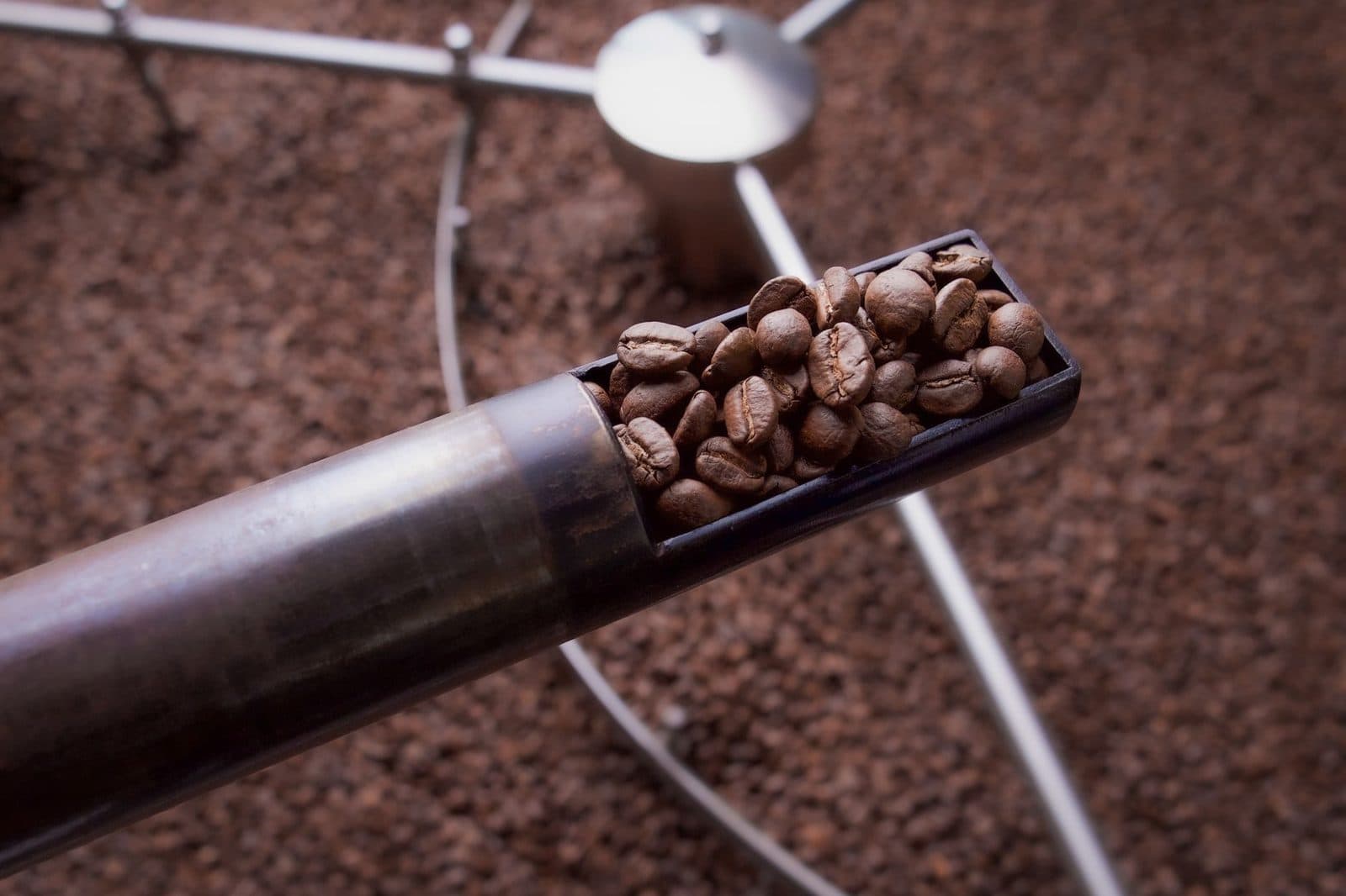 Robusta hay Arabica: Chọn hạt theo gu của bạn